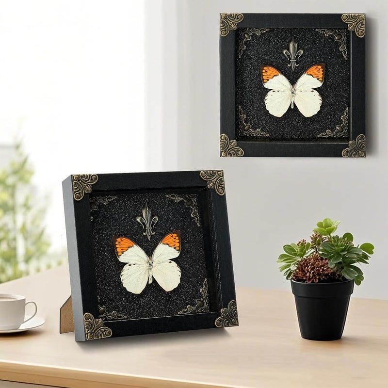 GDBEH Real Butterfly Framed Handmade - Taxidermy Butterfly Shadow Box - Real Framed Butterflies in a Box for Gothic Home Decor Aesthetic. (Hebomoia glaucippe) - Image 4